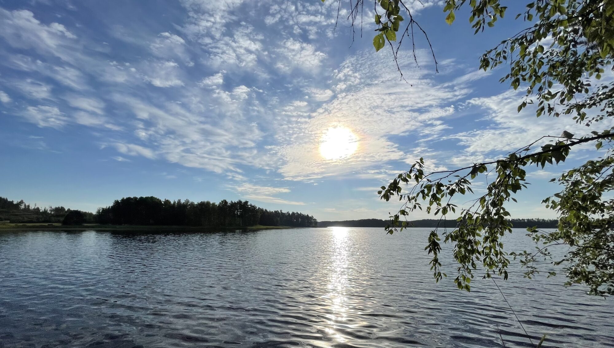 Valokuvaaja: Liisa Niiva-Korpela Valokuvaaja: Liisa Niiva-Korpela