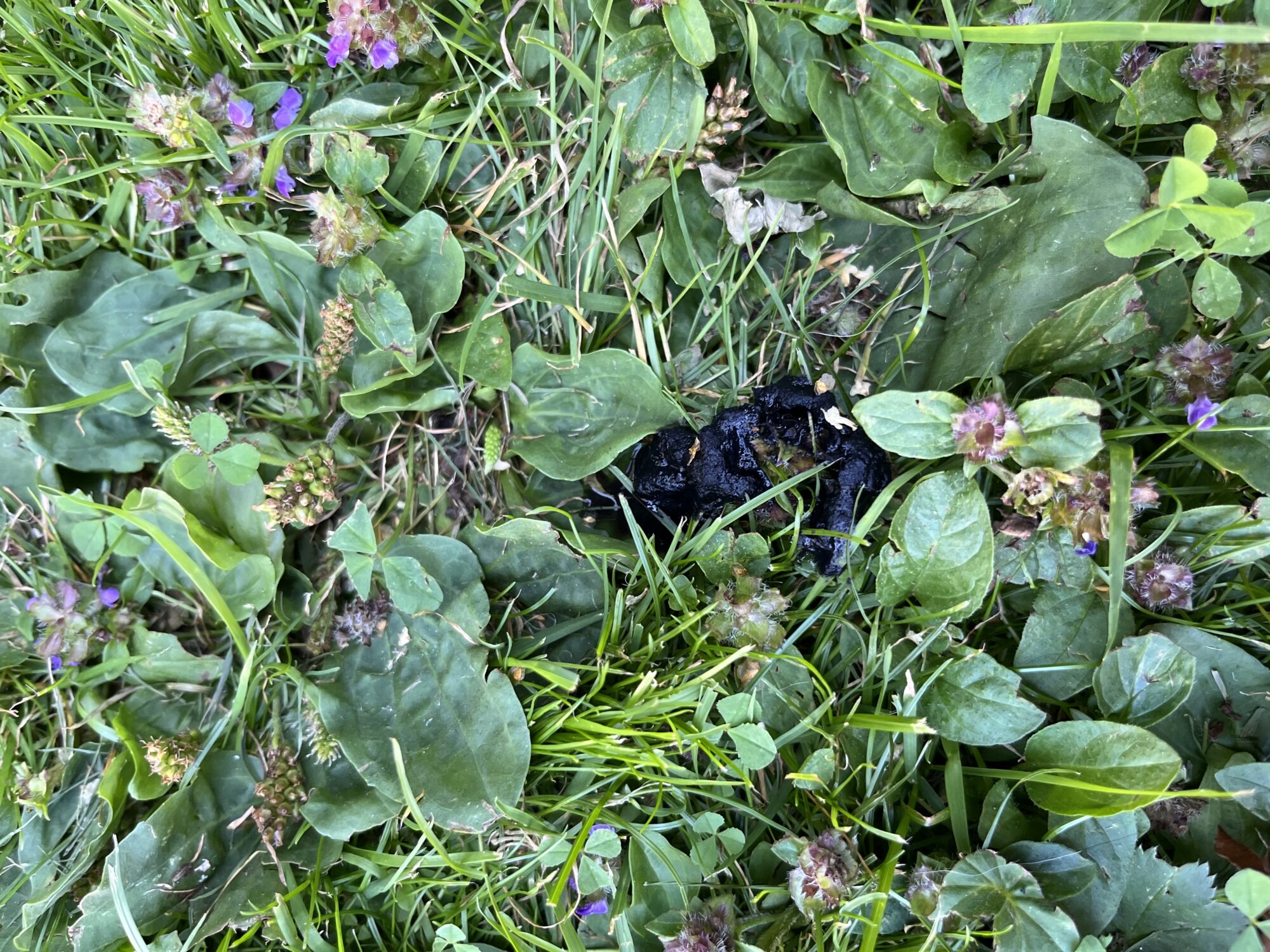 Valokuvaaja: Anu Hyppönen