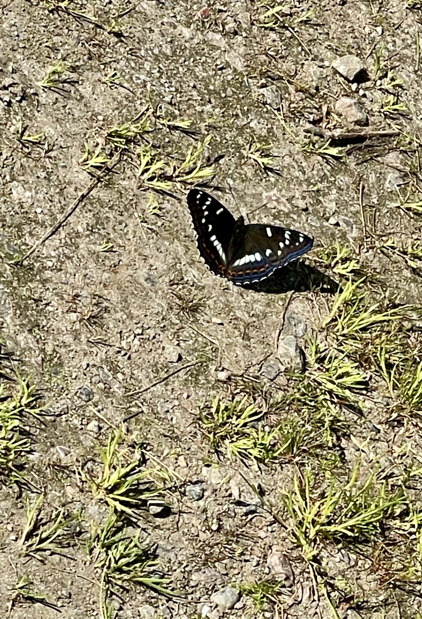 Valokuvaaja: Kati Rita Valokuvaaja: Kati Rita