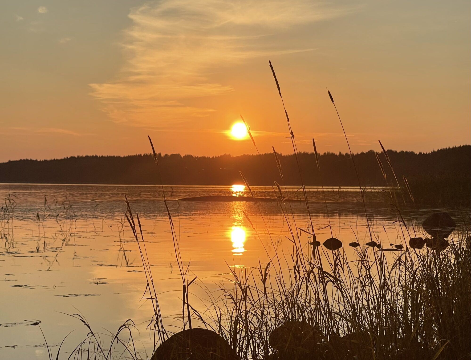 Valokuvaaja: Liisa Niiva-Korpela