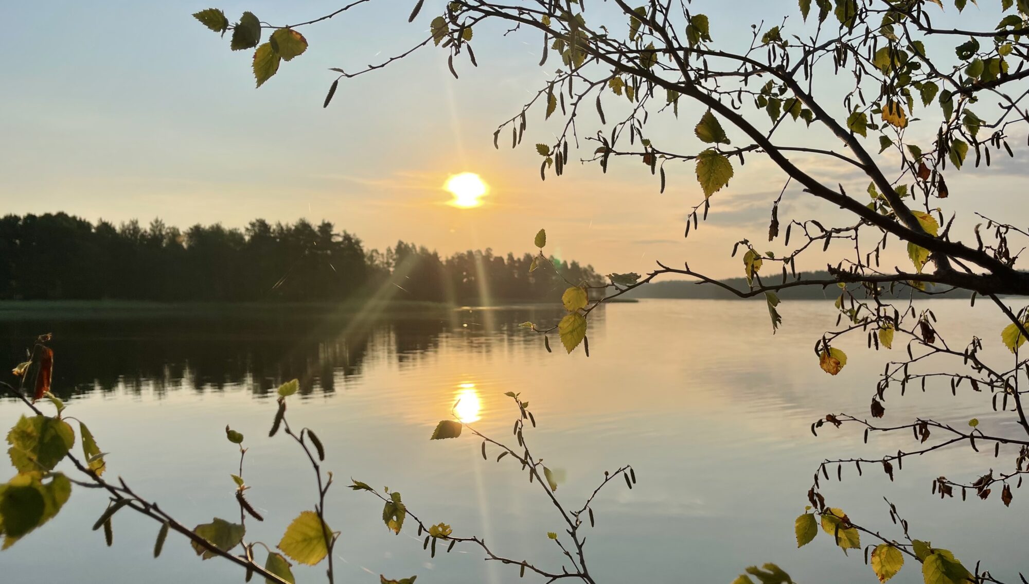 Valokuvaaja: Liisa Niiva-Korpela