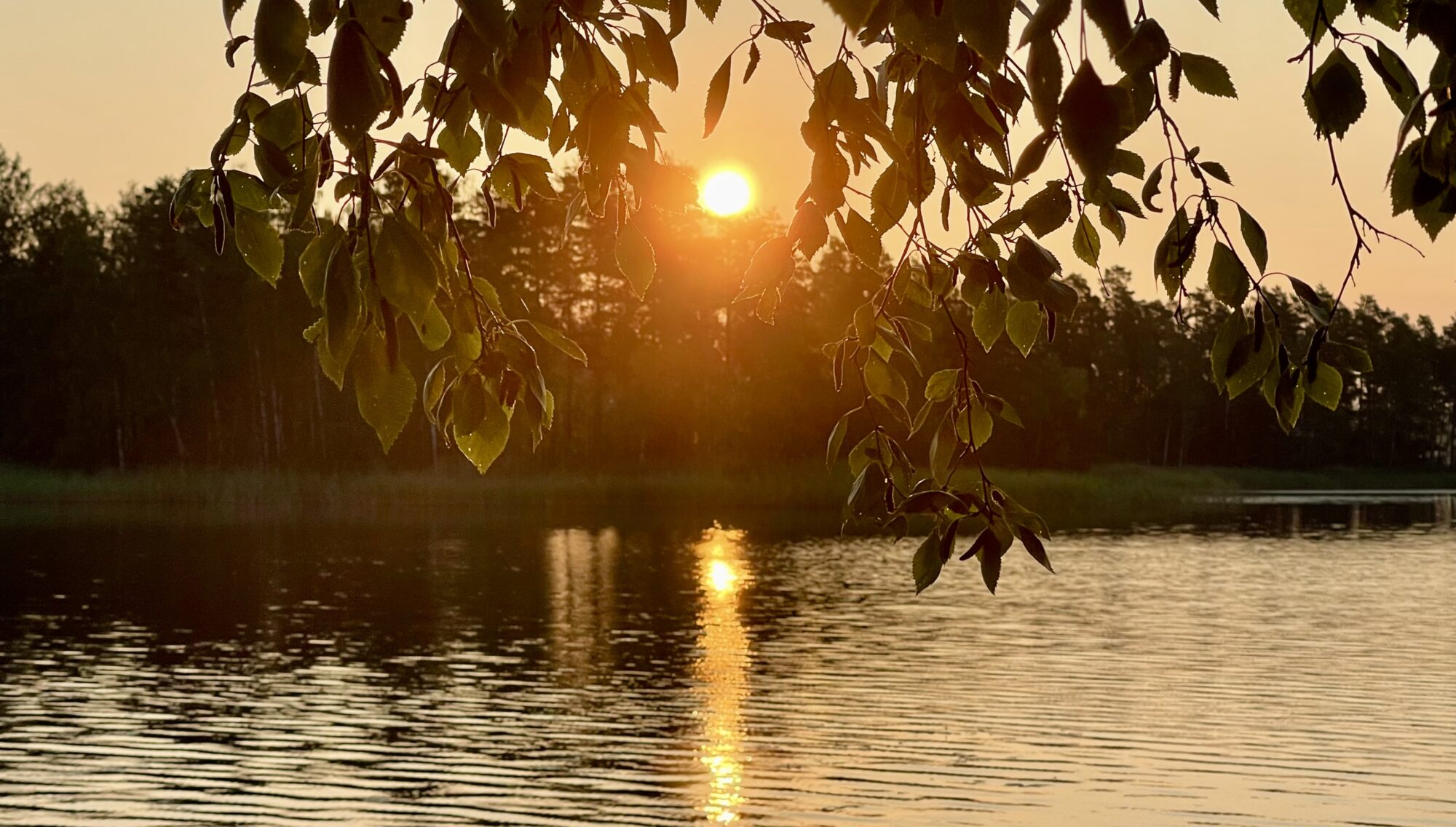 Valokuvaaja: Liisa Niiva-Korpela