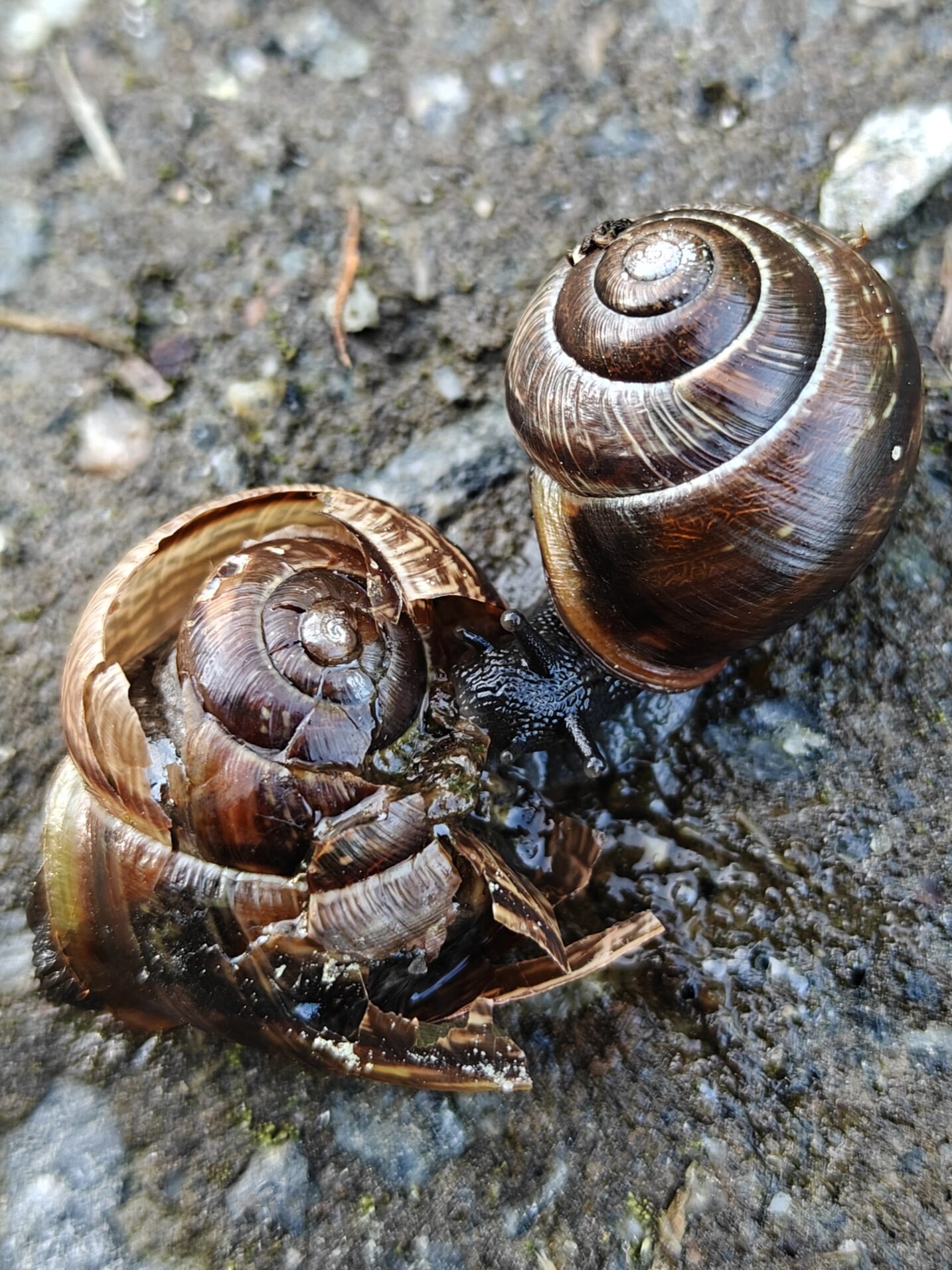 Valokuvaaja: Tiina Mäkinen