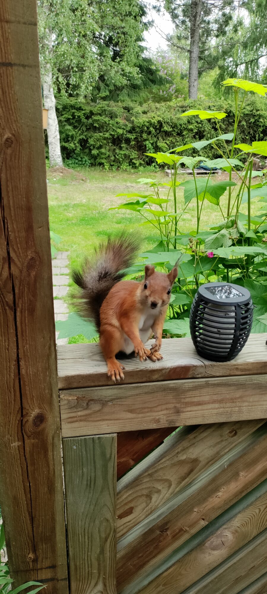 Valokuvaaja: Else Koistinen