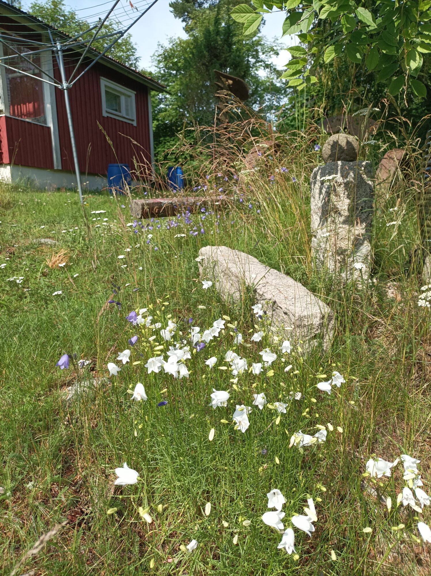 Valokuvaaja: Anne-elisa Rajala