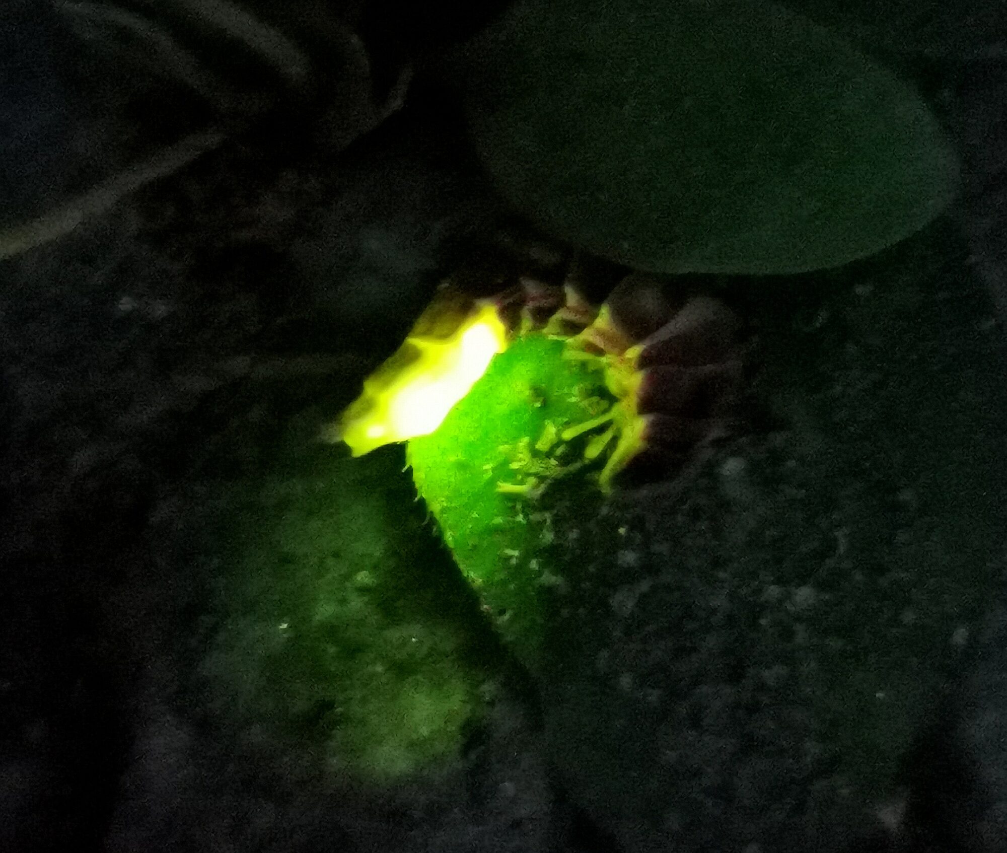 Valokuvaaja: Aila Jokiniemi