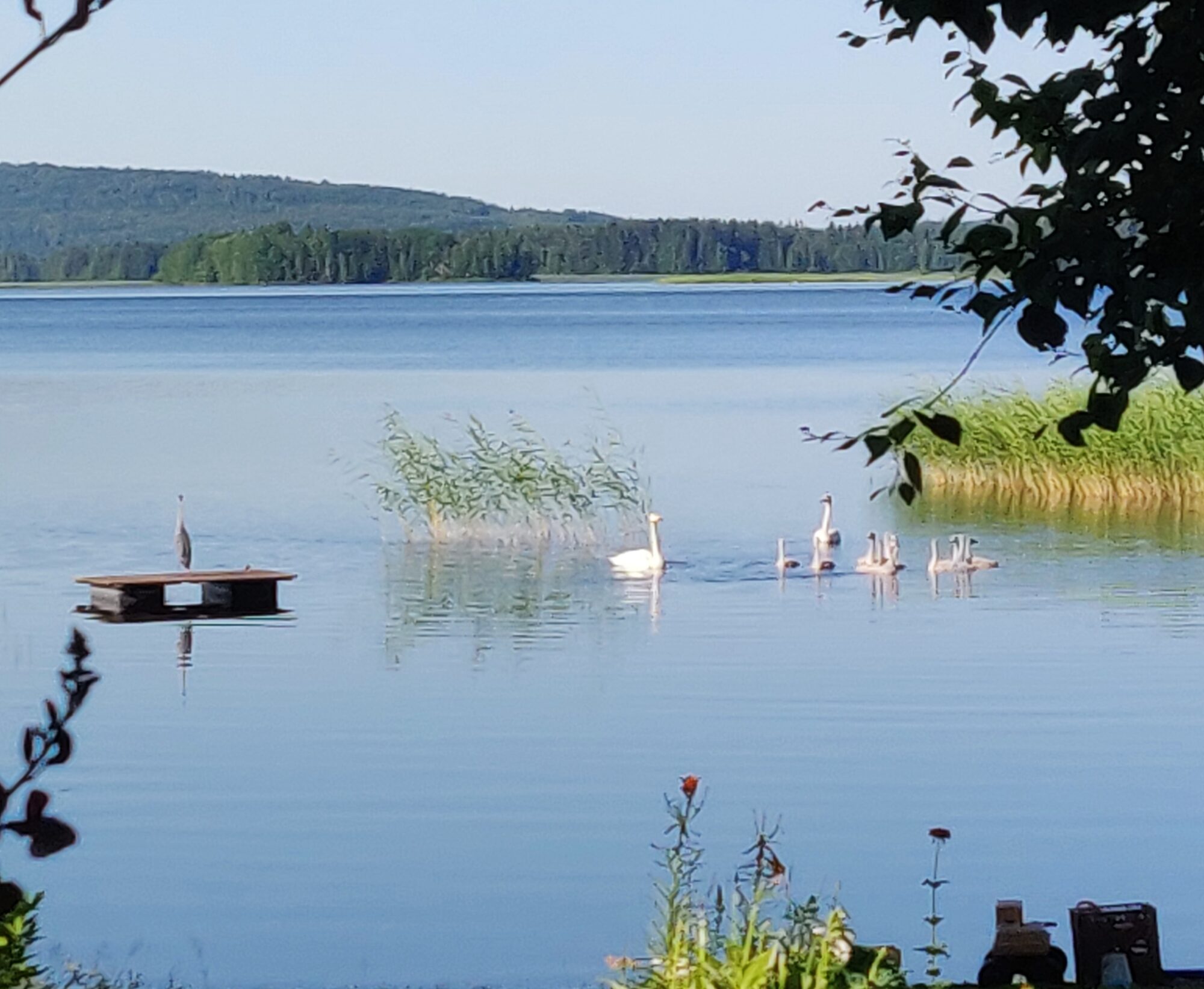 Valokuvaaja: Heli Korhonen Valokuvaaja: Heli Korhonen
