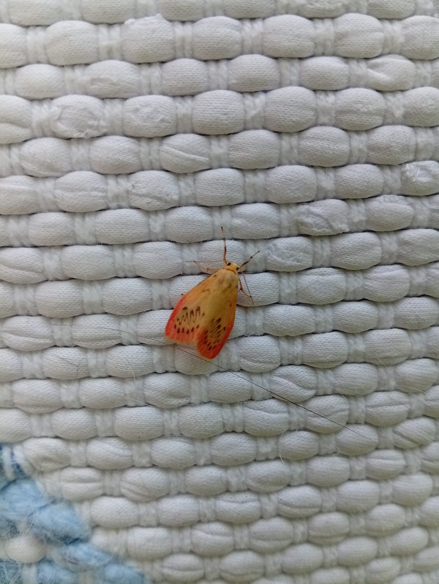 Valokuvaaja: Lea Jylkkä