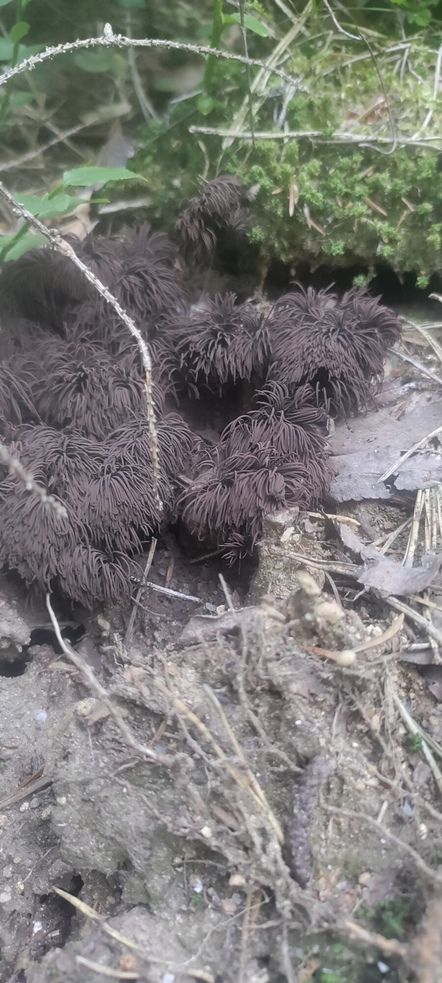 Valokuvaaja: JOHANNA HYVÖNEN