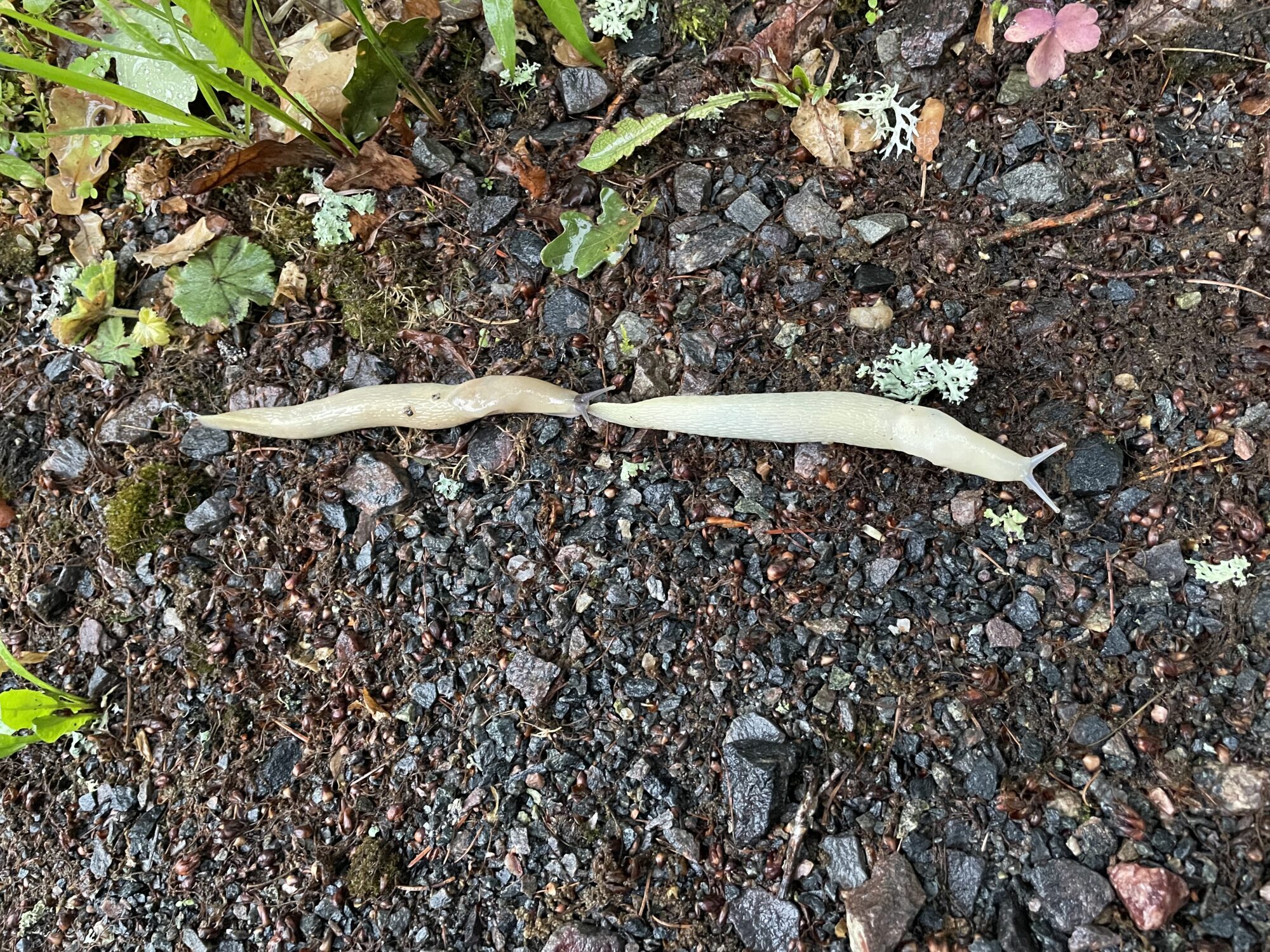 Valokuvaaja: Leena Saarela