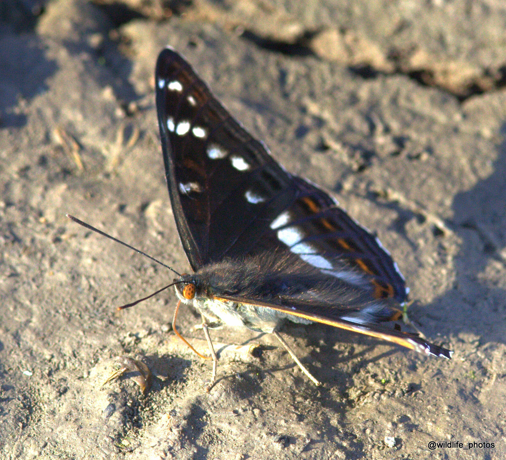 Valokuvaaja: tapio keinonen Valokuvaaja: tapio keinonen