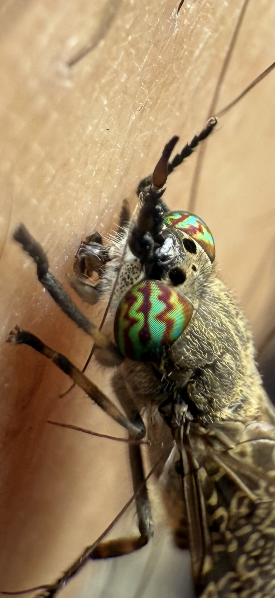 Valokuvaaja: Onni Salmi