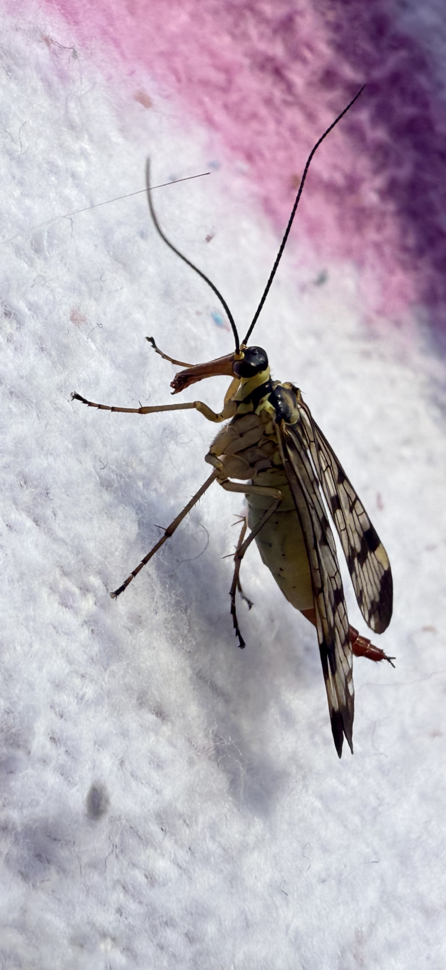 Valokuvaaja: Onni Salmi