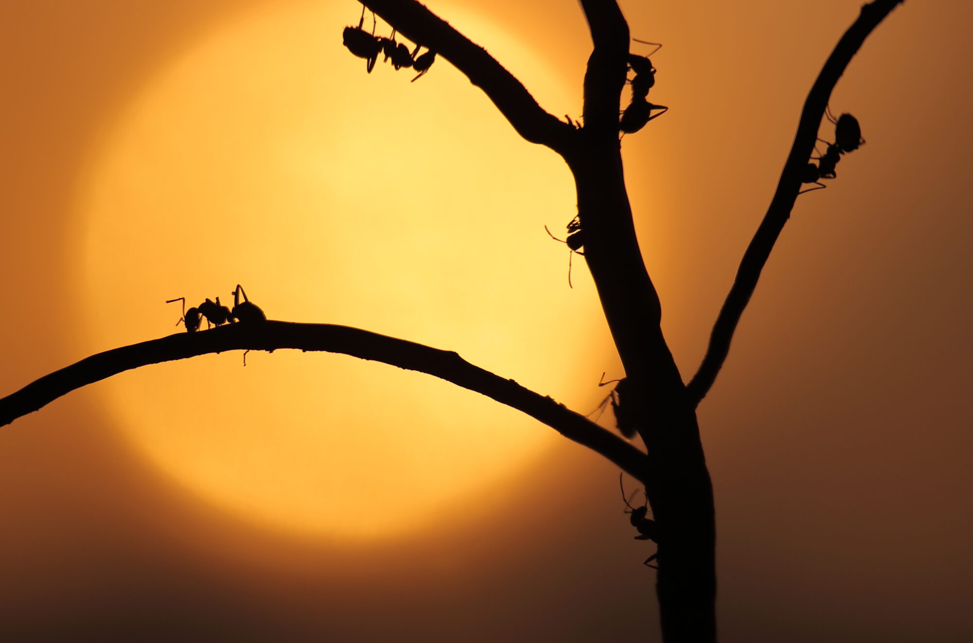 Valokuvaaja: Lasse Kokko