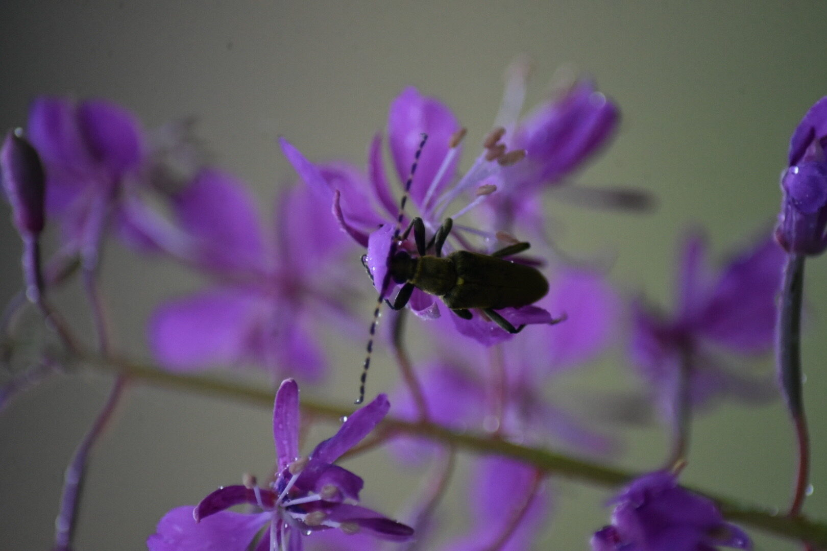 Valokuvaaja: Mikko Lumme