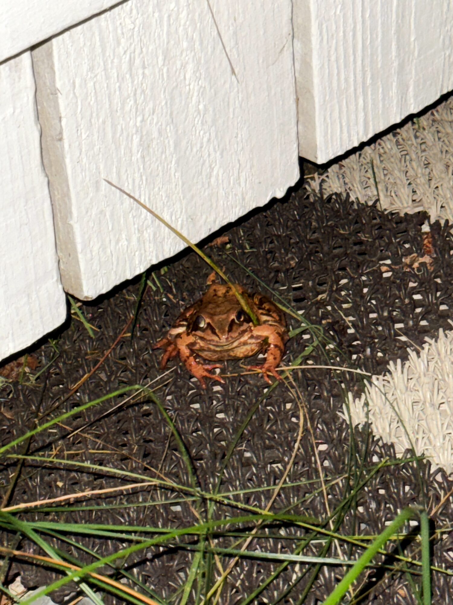 Valokuvaaja: Emmi Pasanen