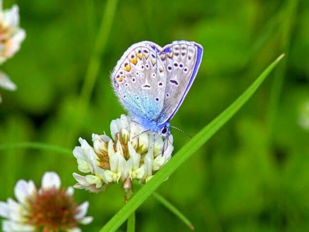 Valokuvaaja: Tapio Keinonen