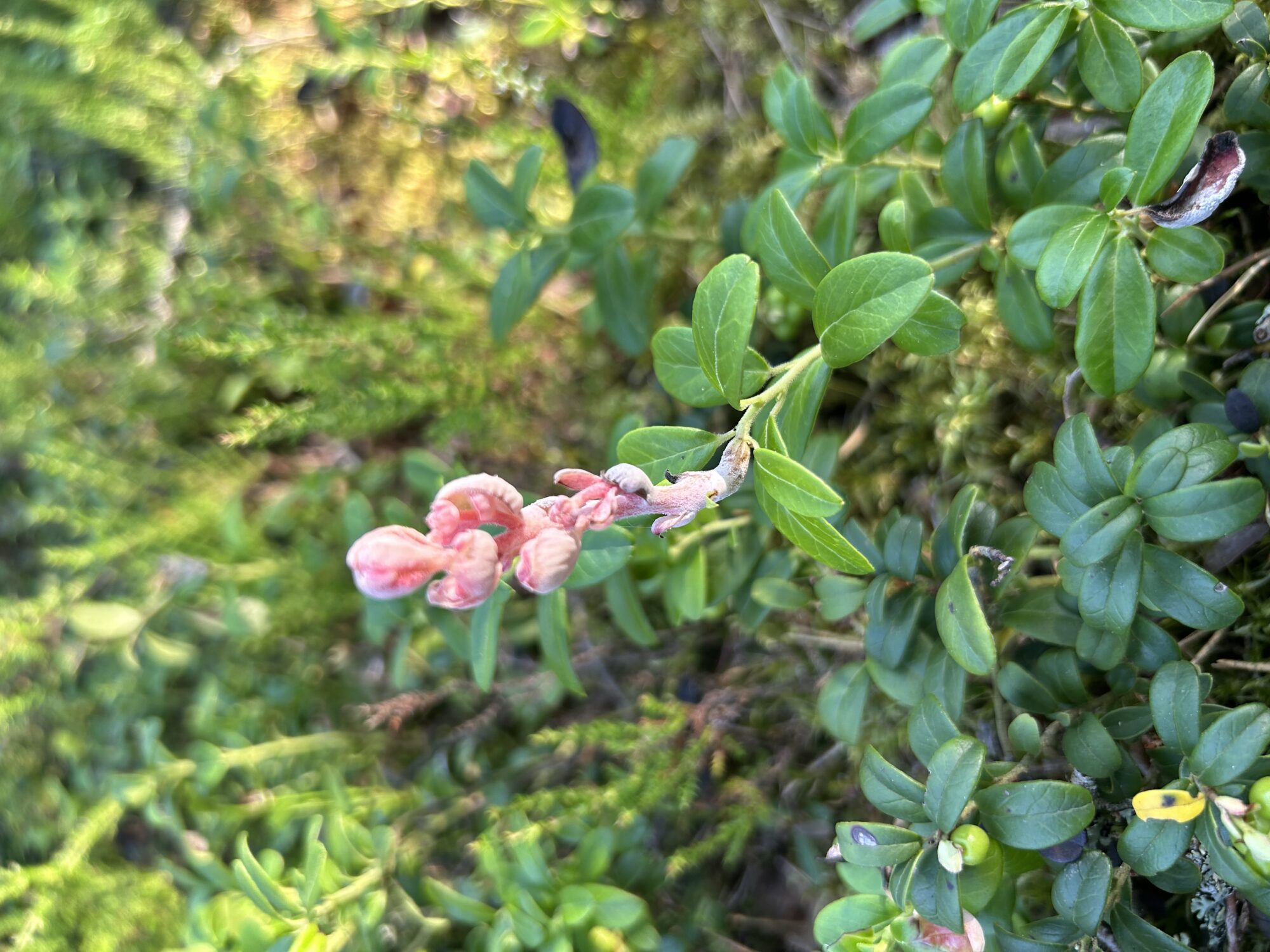 Valokuvaaja: Maija-Liisa Mälkiä Valokuvaaja: Maija-Liisa Mälkiä