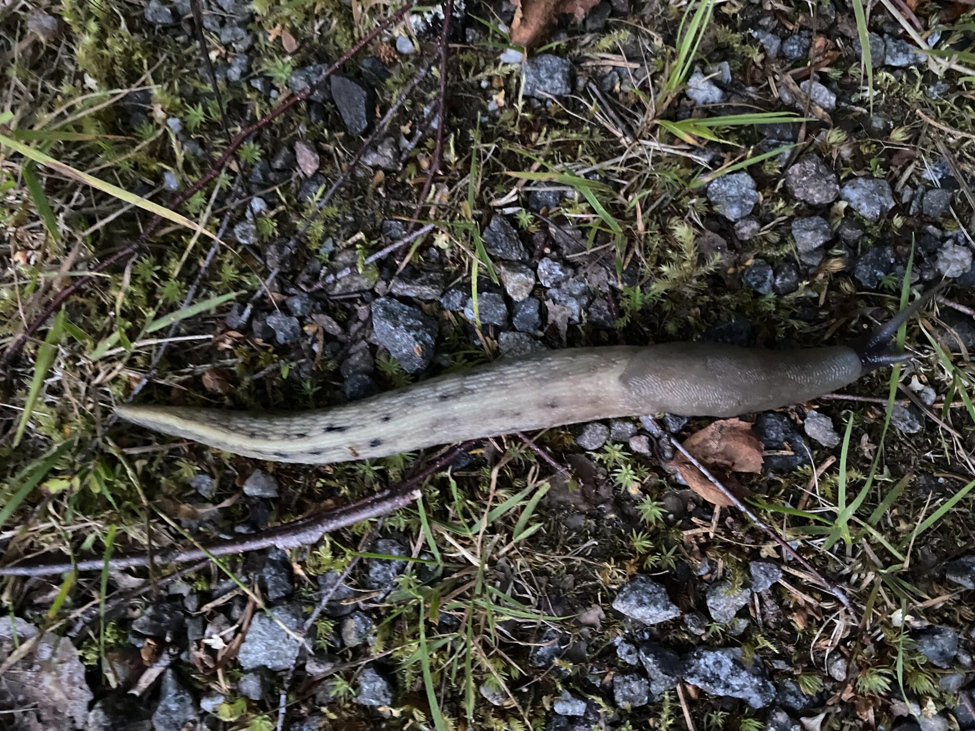 Valokuvaaja: Heidi Westerberg