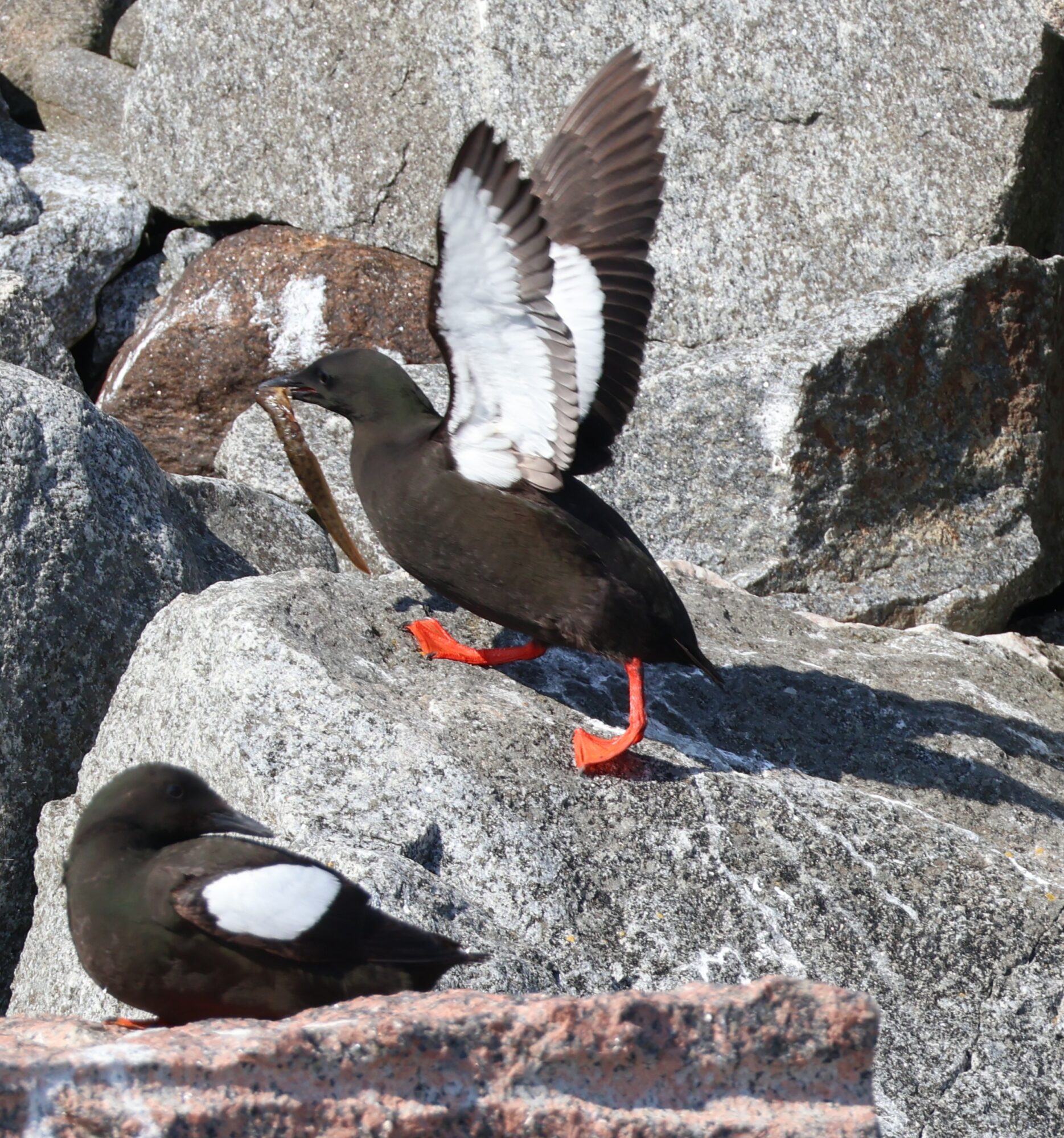 Valokuvaaja: Hanna Rönty