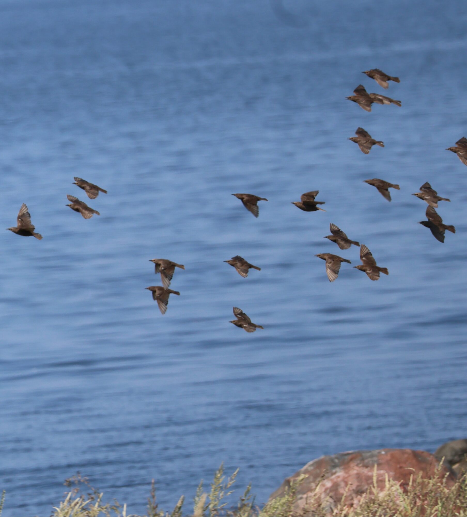 Valokuvaaja: Hanna Rönty Valokuvaaja: Hanna Rönty