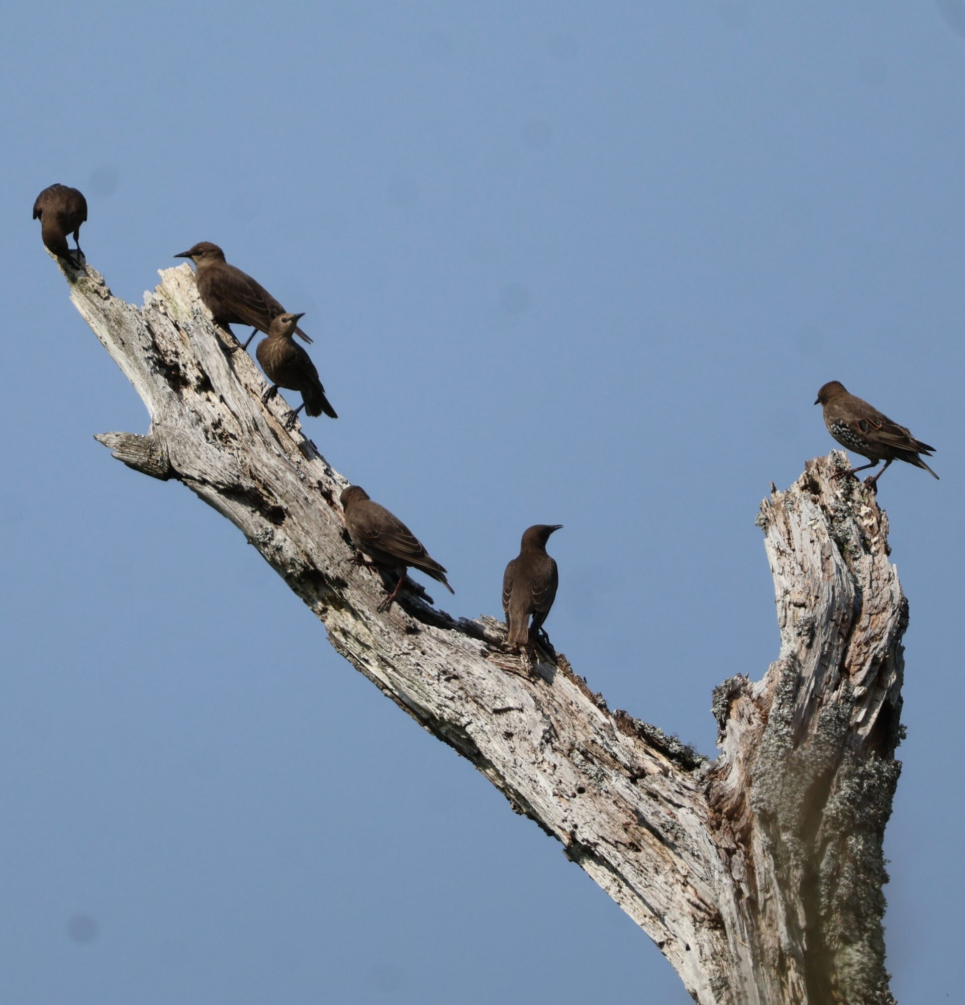 Valokuvaaja: Hanna Rönty Valokuvaaja: Hanna Rönty