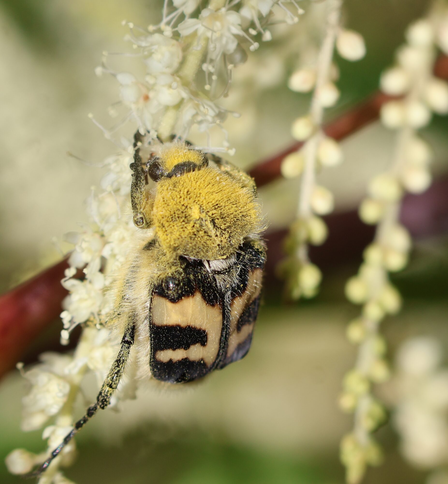 Valokuvaaja: Rönty Hanna