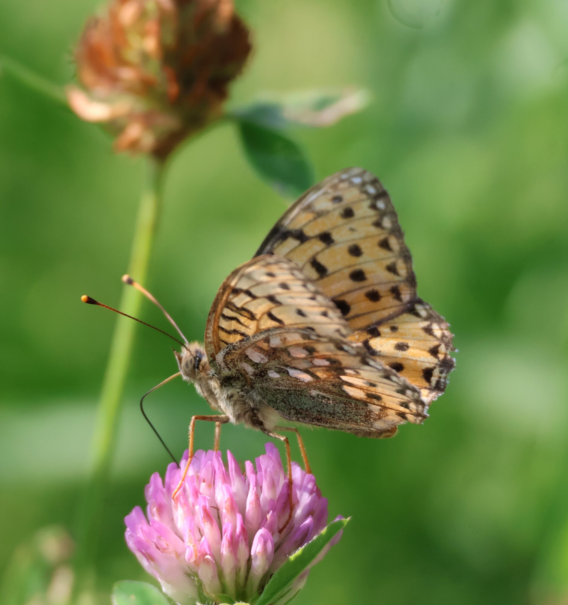 Valokuvaaja: Hanna Rönty