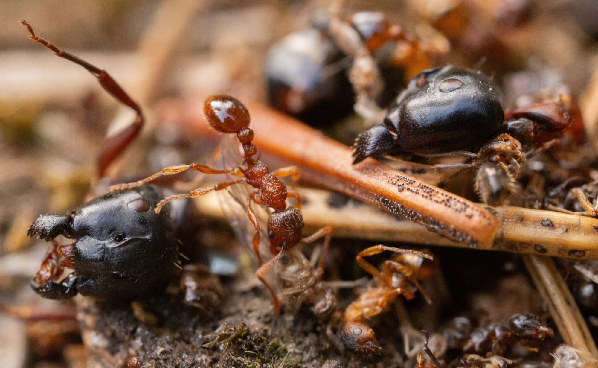 Valokuvaaja: Samuel Koivisto Valokuvaaja: Samuel Koivisto