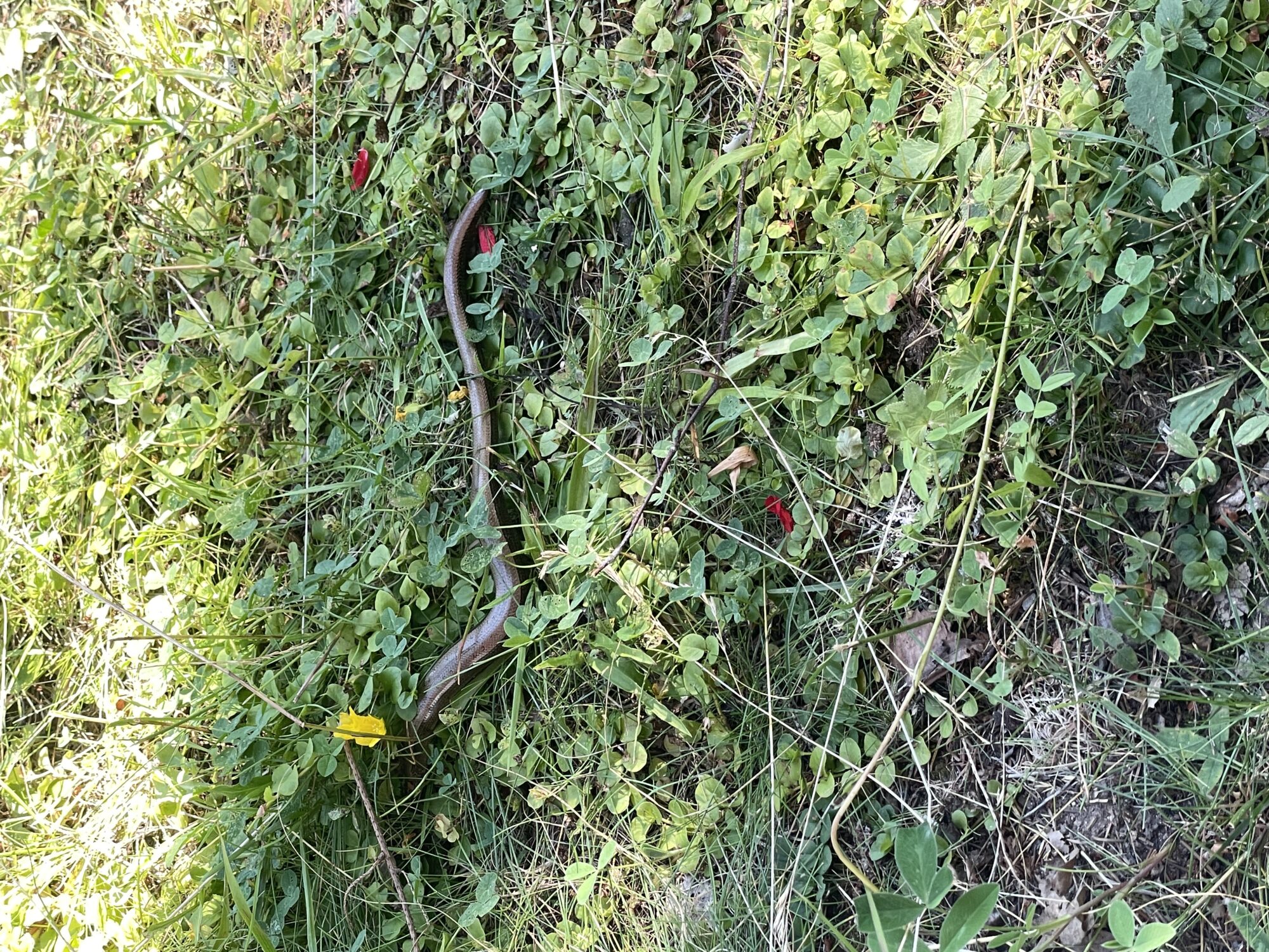 Valokuvaaja: Ani Lätti