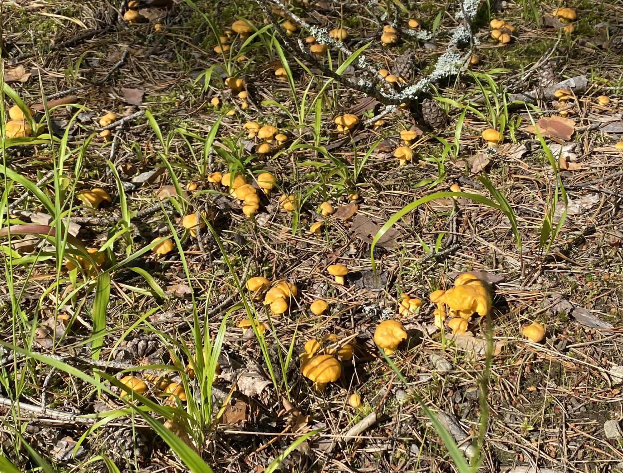 Valokuvaaja: Markku Ranta-Eilola Valokuvaaja: Markku Ranta-Eilola