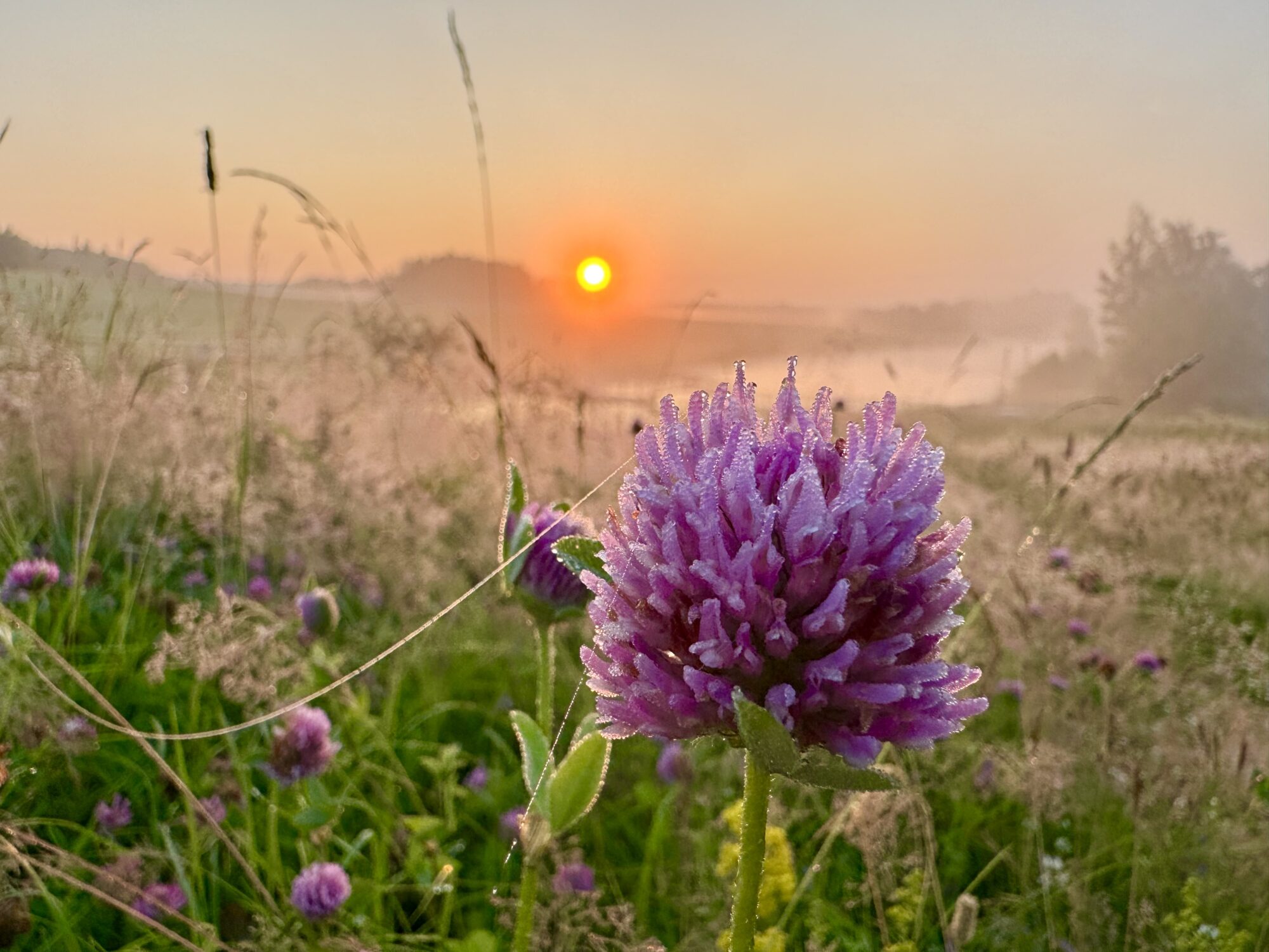 Valokuvaaja: Juhani Peltonen Valokuvaaja: Juhani Peltonen