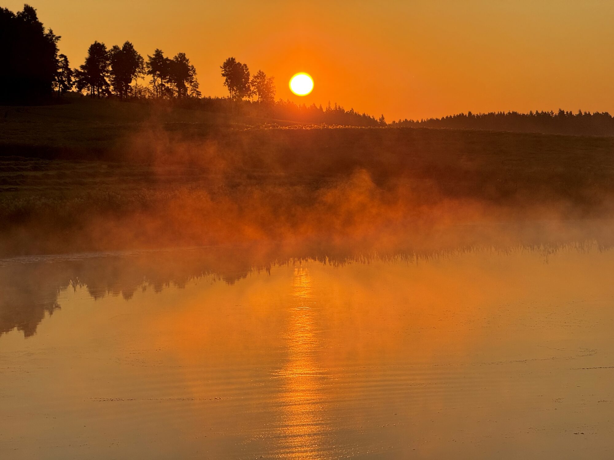 Valokuvaaja: Juhani Peltonen
