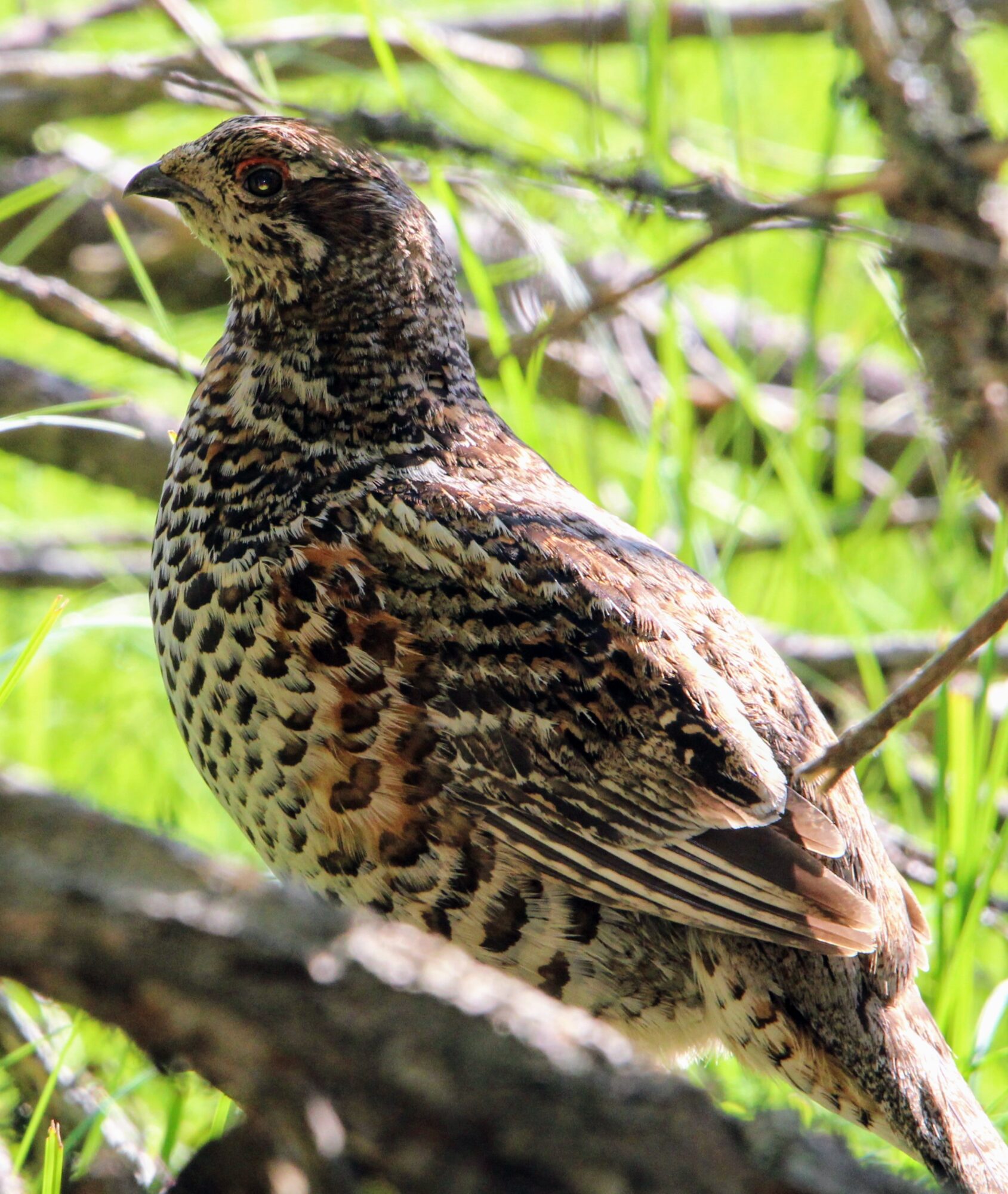 Valokuvaaja: Anu Lapinlampi