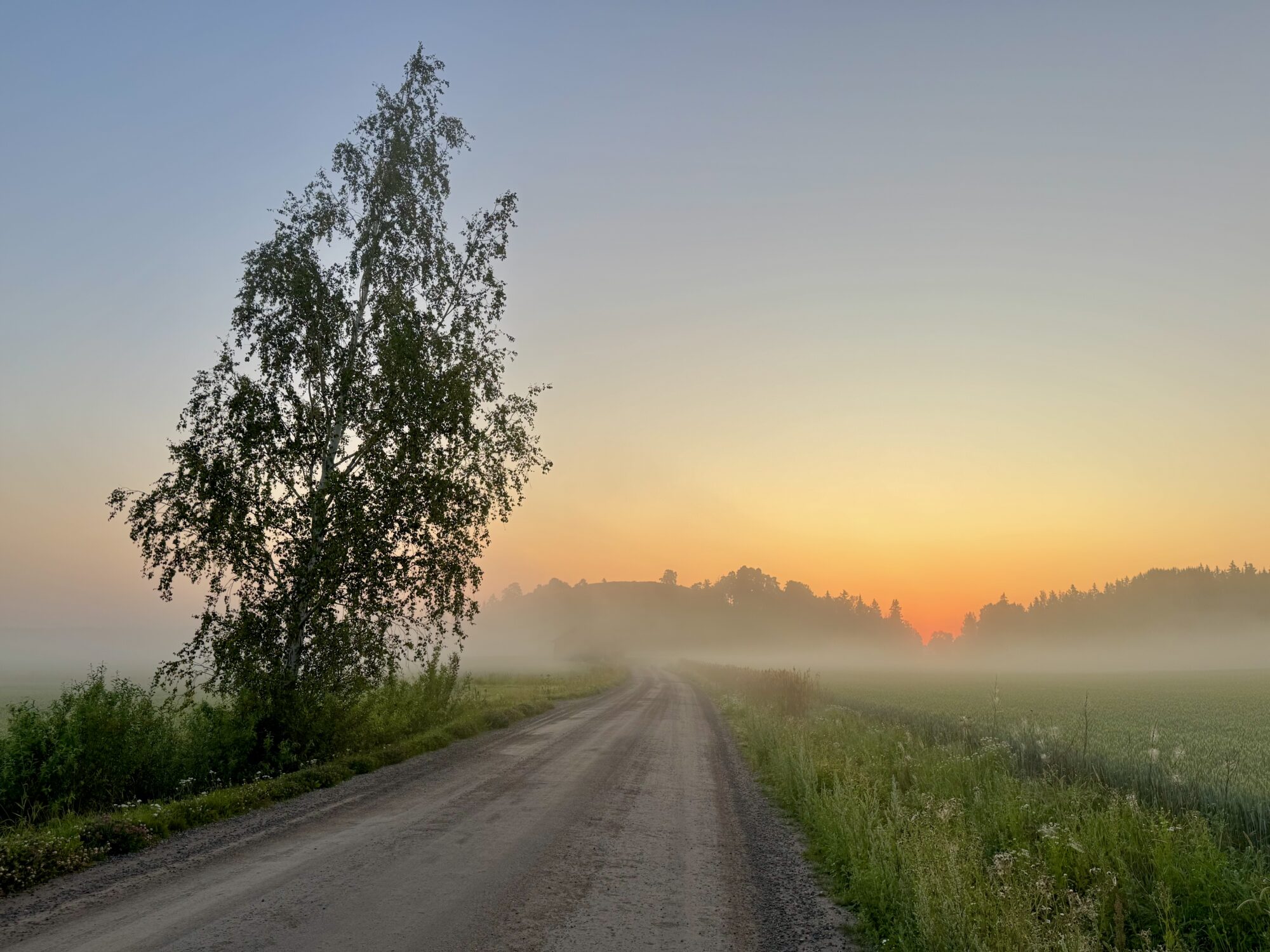 Valokuvaaja: Juhani Peltonen