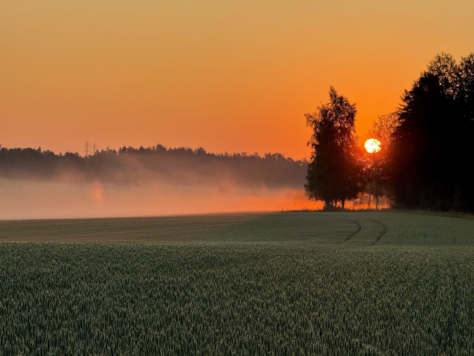 Valokuvaaja: Juhani Peltonen
