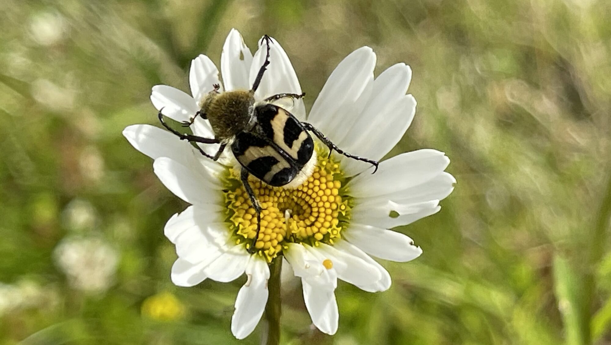 Valokuvaaja: Liisa Niiva-Korpela