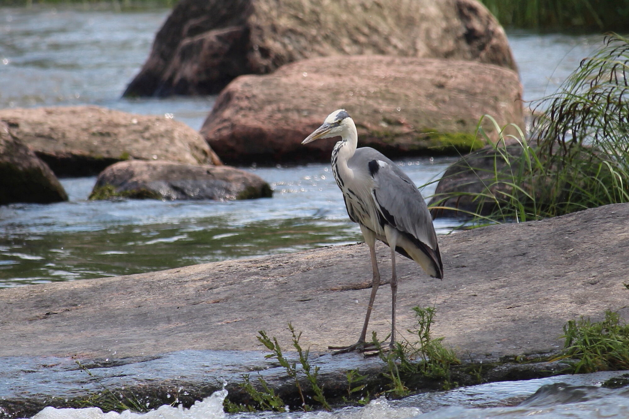 Valokuvaaja: Kirsi-Marja Joenpolvi