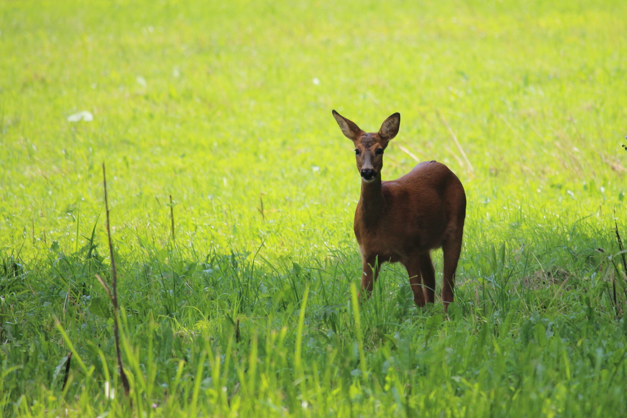 Valokuvaaja: Kirsi-Marja Joenpolvi