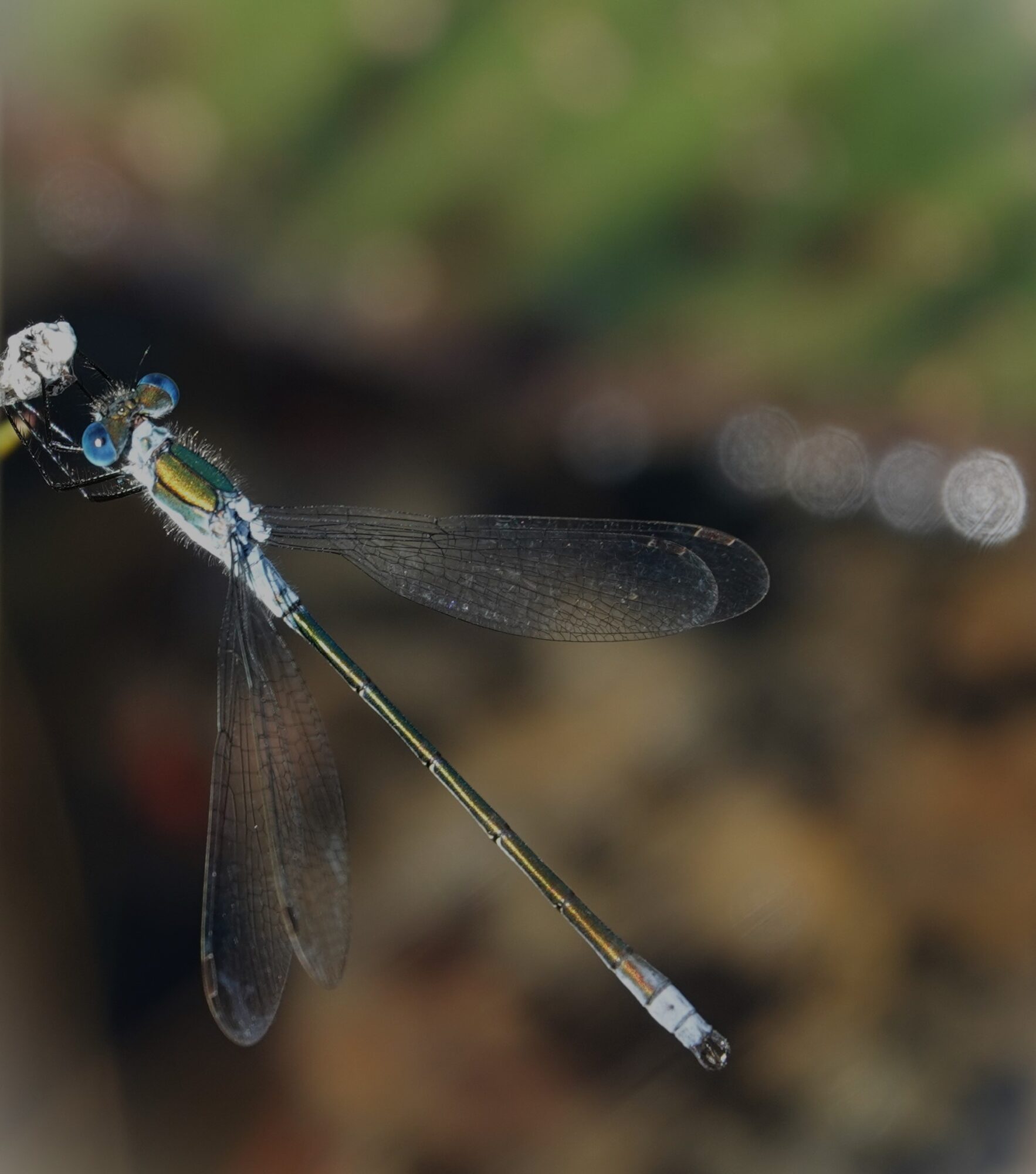 Valokuvaaja: Kaarina Heiskanen