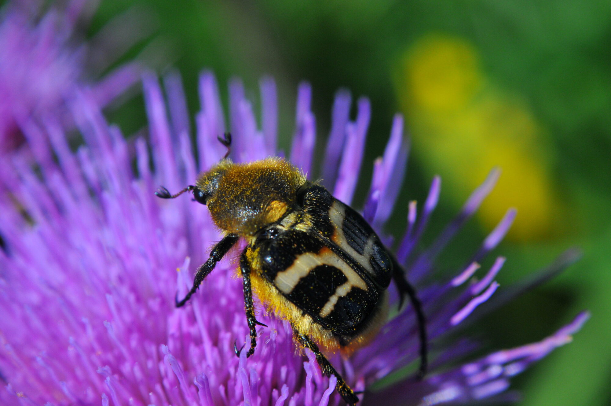 Valokuvaaja: Kaarlo Asikainen Valokuvaaja: Kaarlo Asikainen