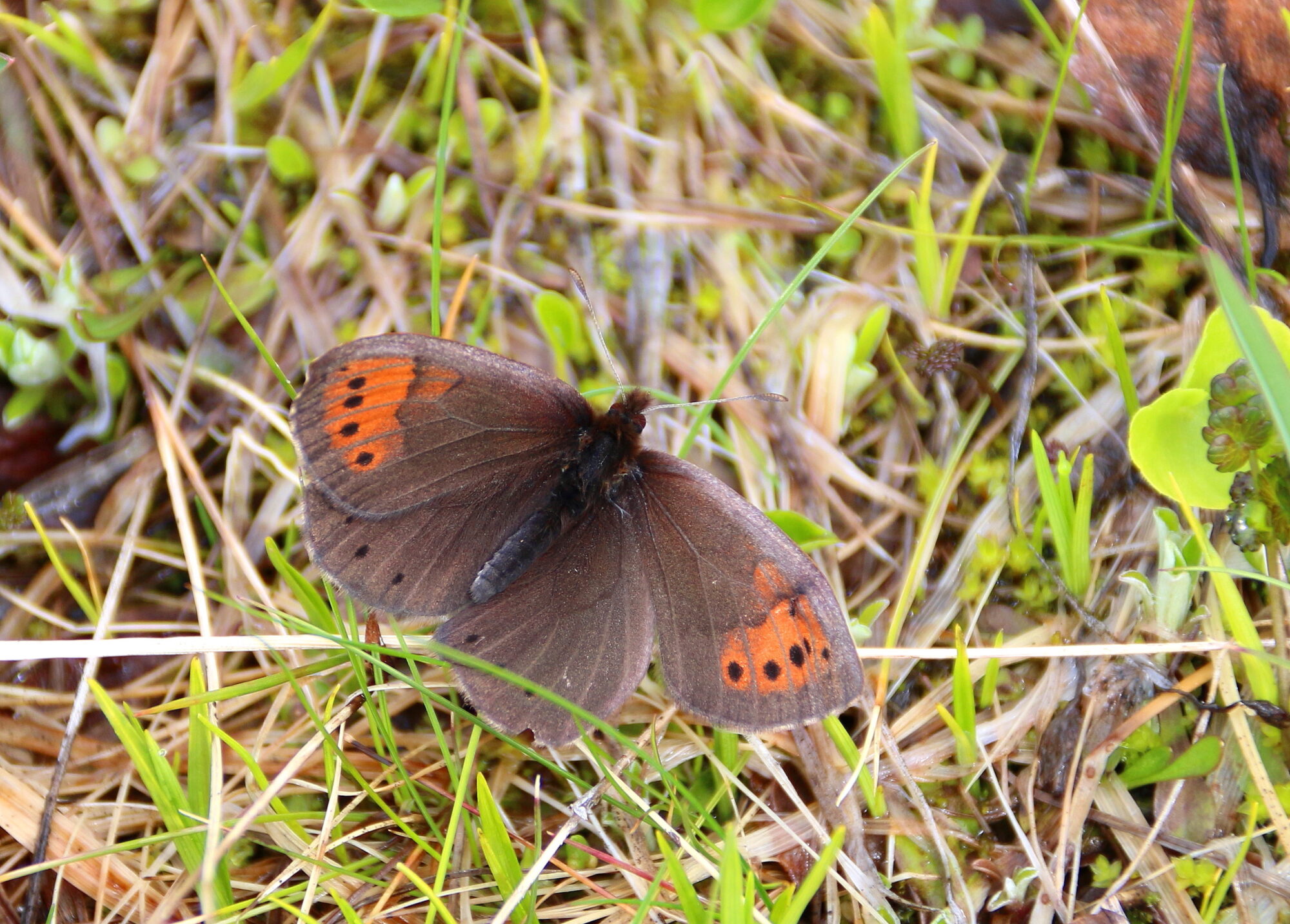 Valokuvaaja: Tuukka Pahtamaa