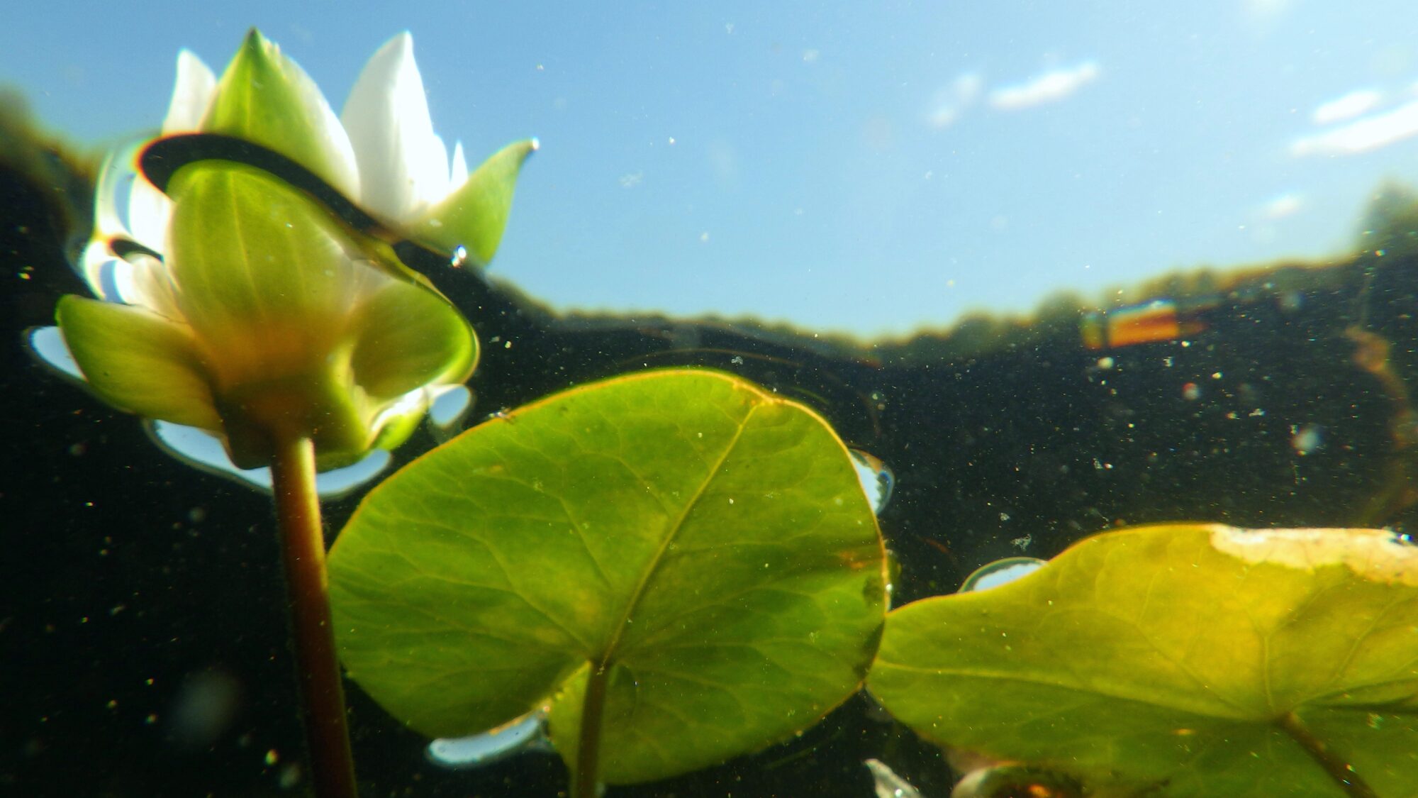 Valokuvaaja: Paula Savelius-Kontinen