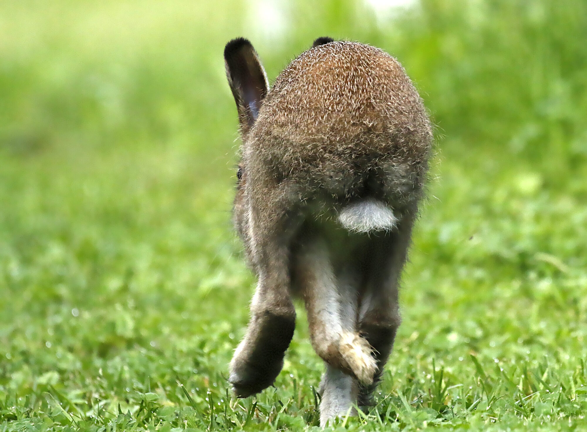 Valokuvaaja: Antero Tykkyläinen