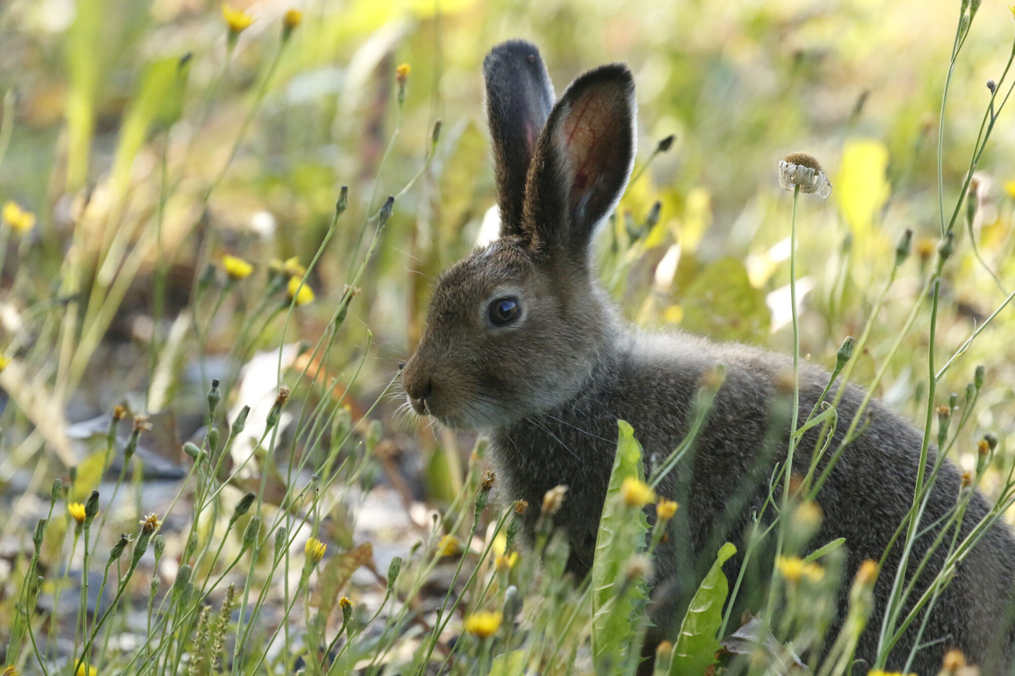 Valokuvaaja: Antero Tykkyläinen