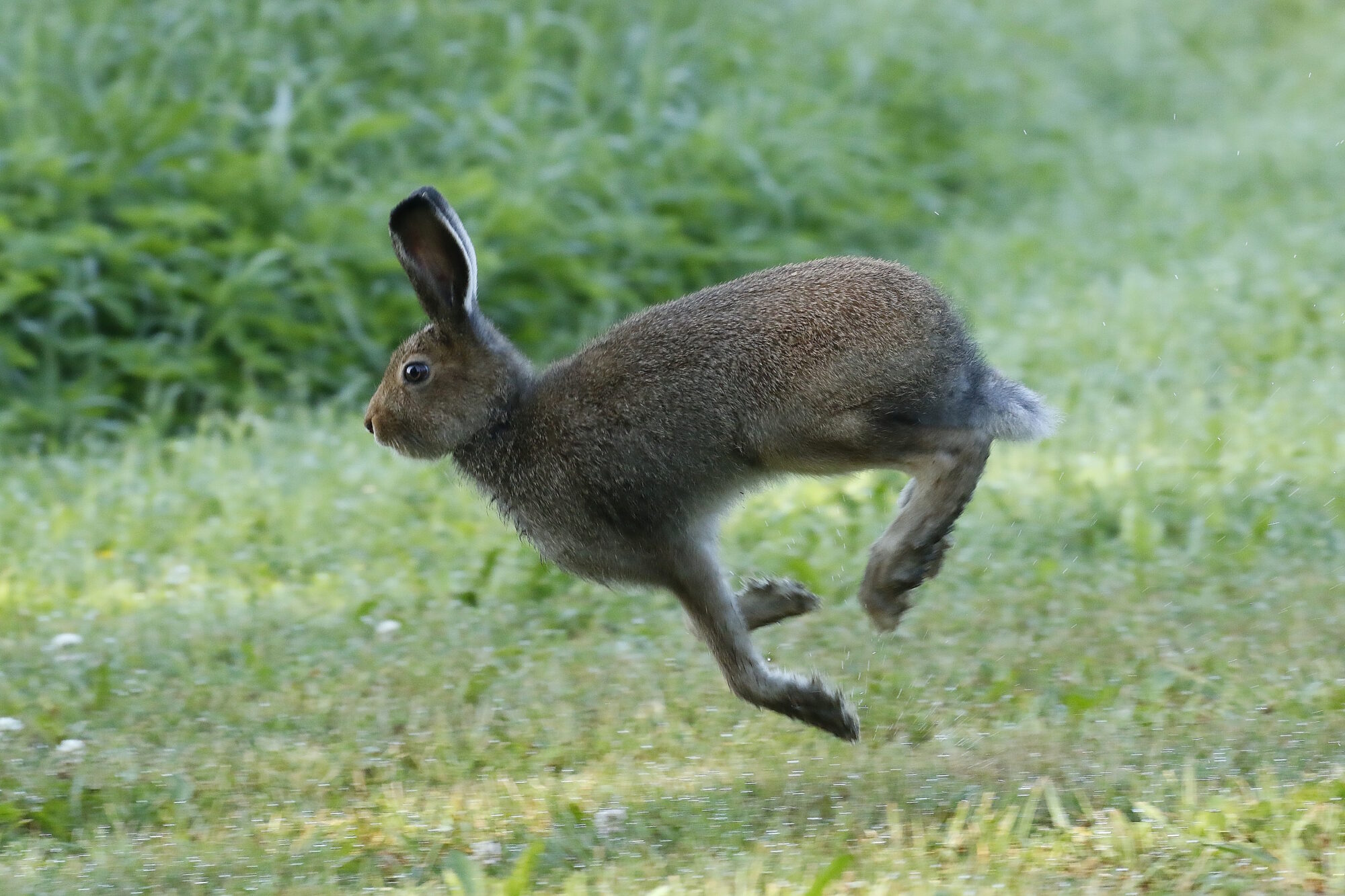 Valokuvaaja: Antero Tykkyläinen