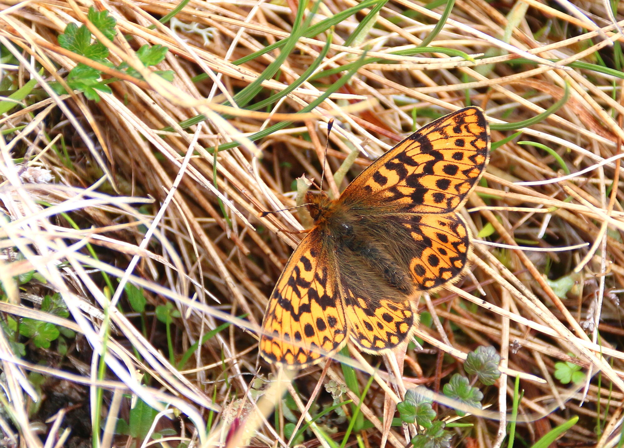Valokuvaaja: Tuukka Pahtamaa