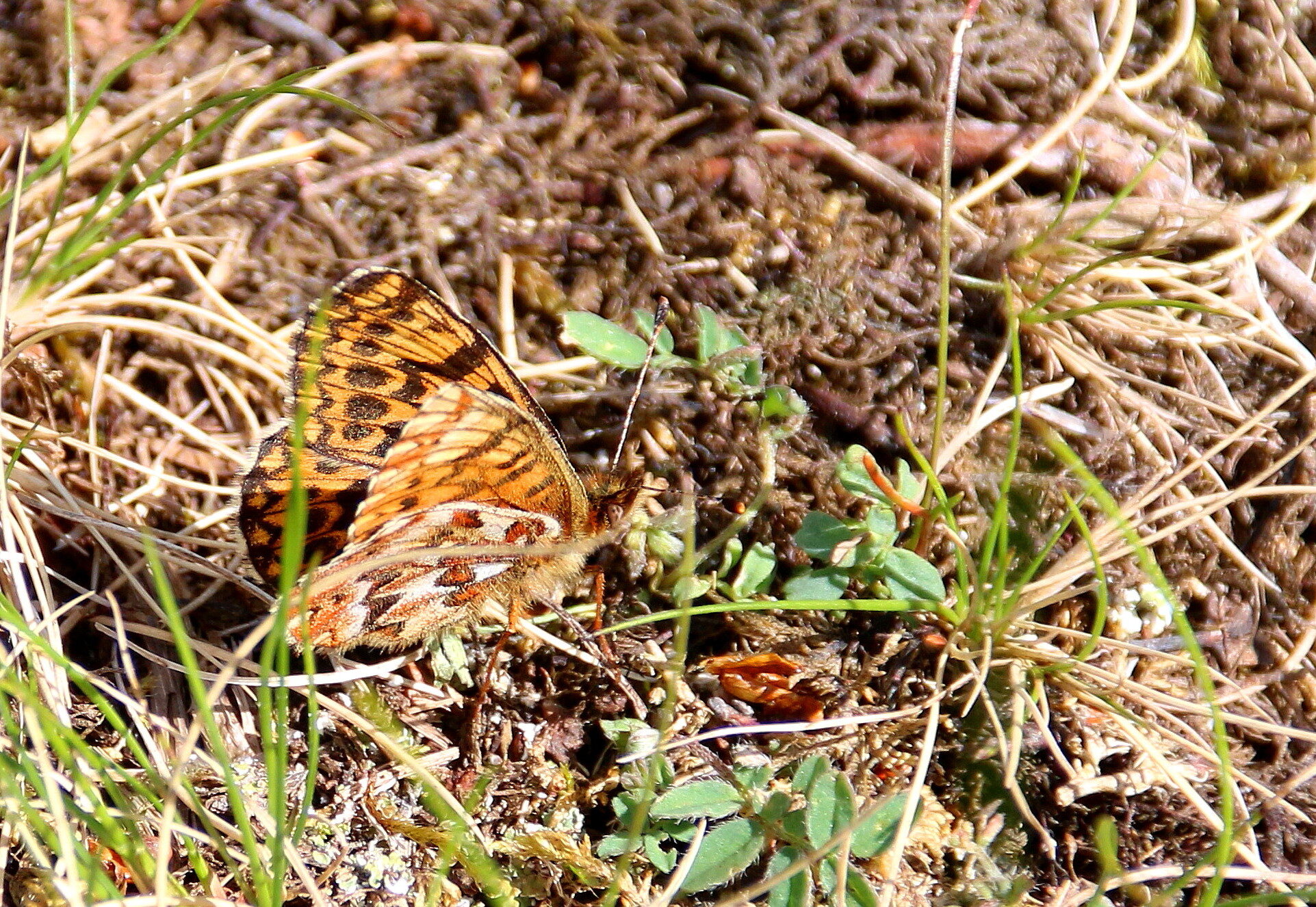 Valokuvaaja: Tuukka Pahtamaa