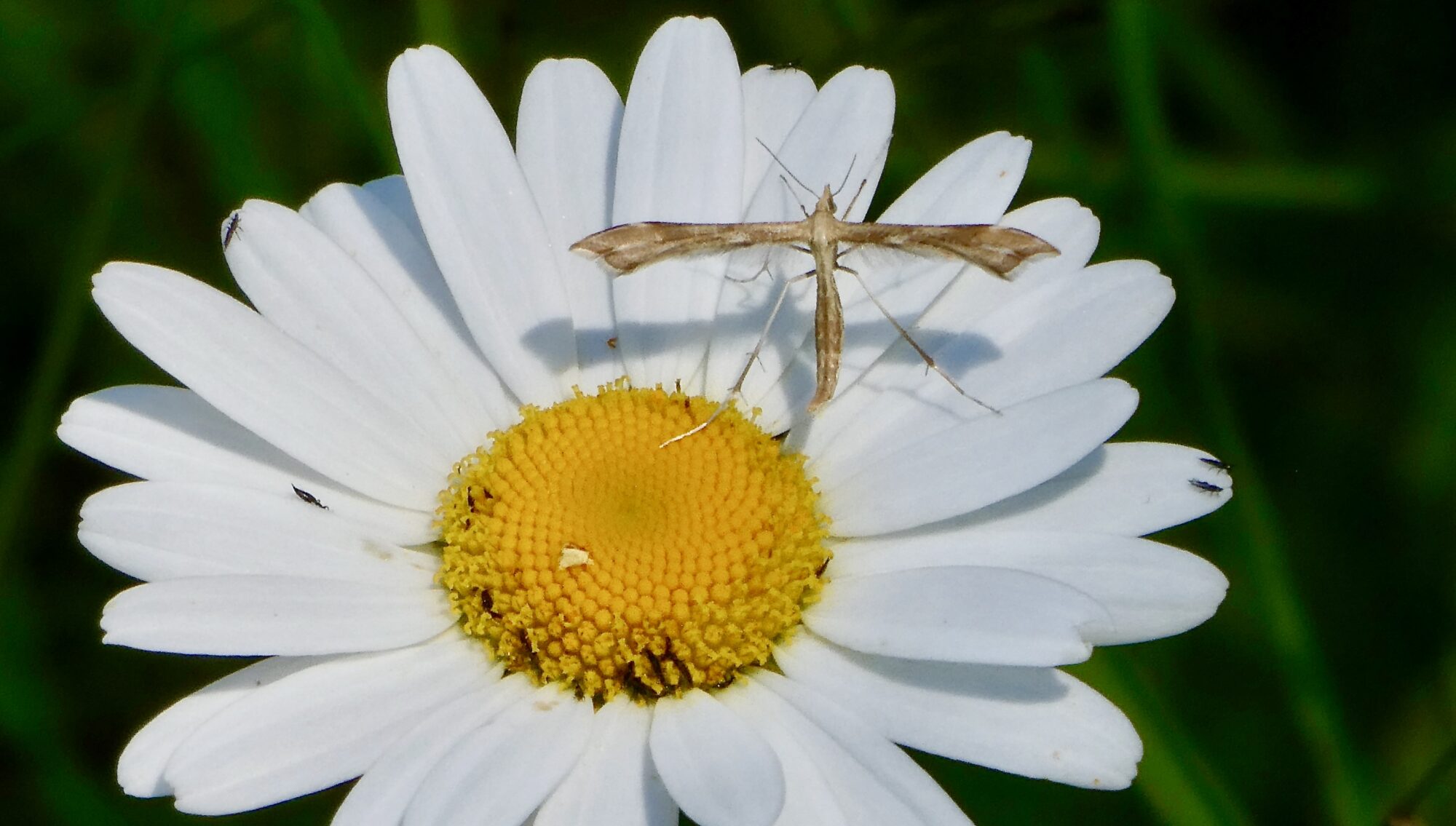 Valokuvaaja: Liisa Niiva-Korpela