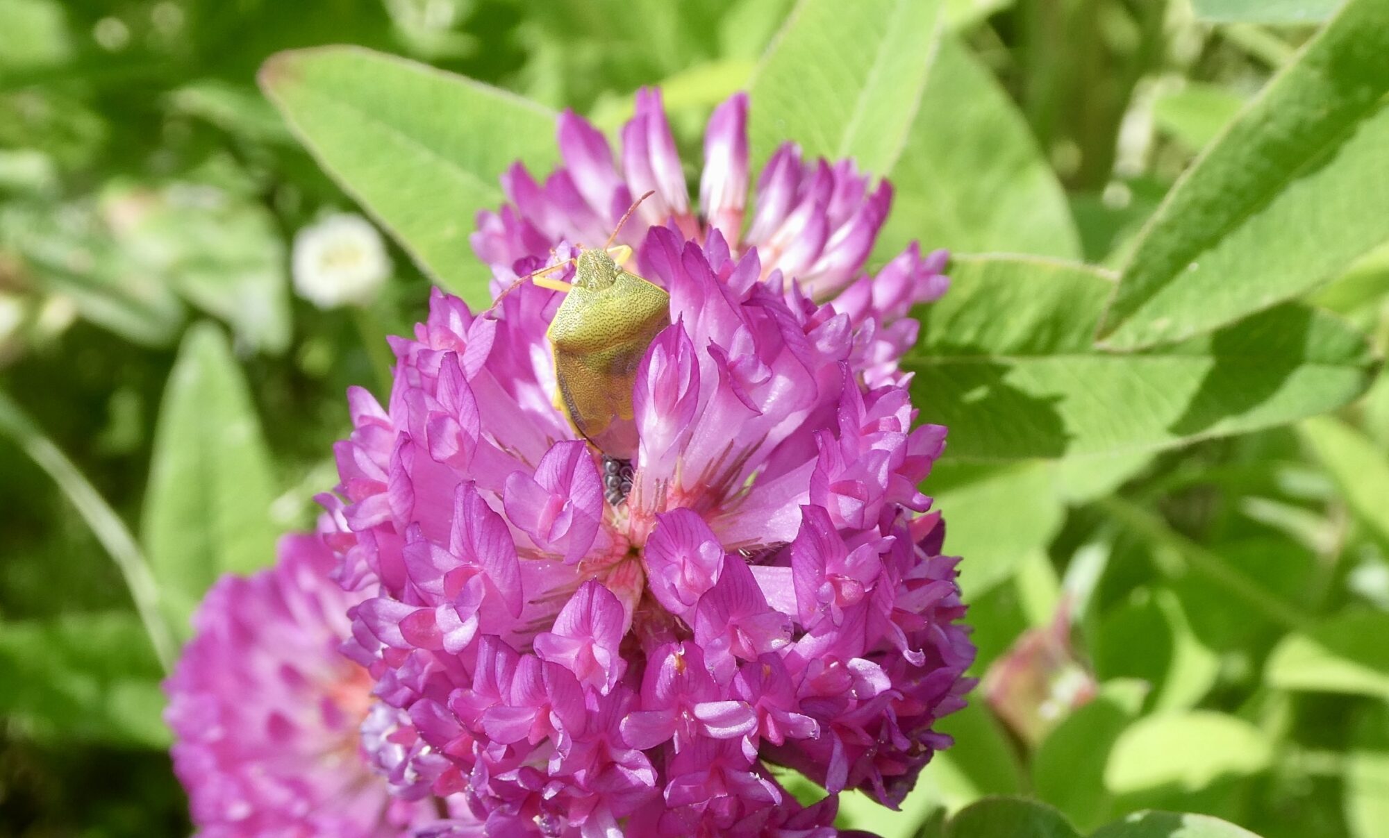 Valokuvaaja: Liisa Niiva-Korpela Valokuvaaja: Liisa Niiva-Korpela